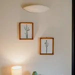 Apartman 51 *